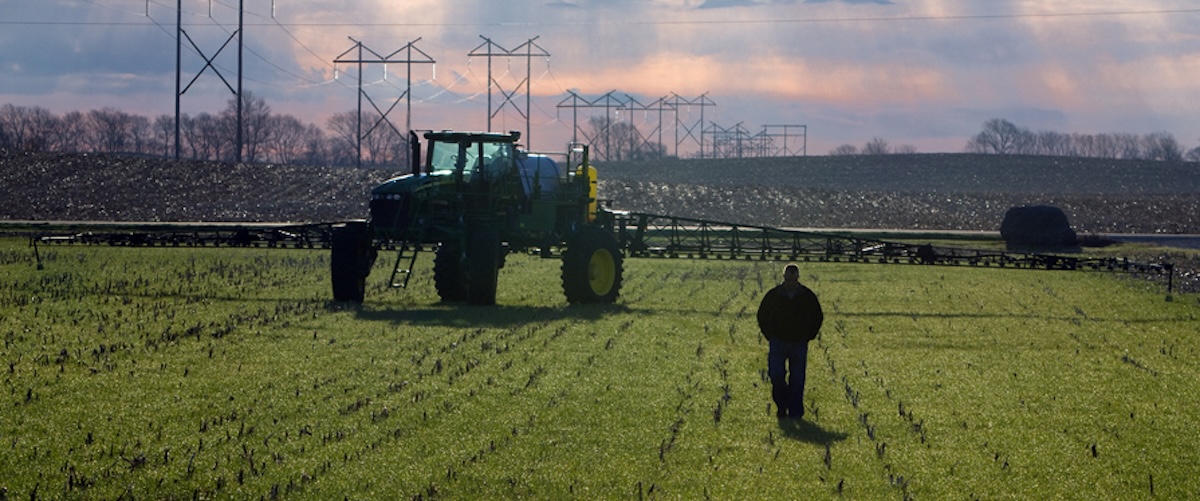 Tractor in field